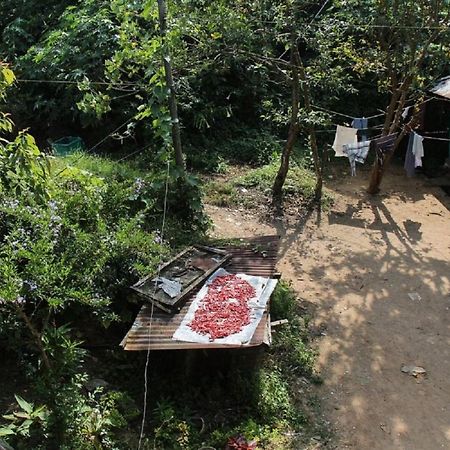 Munnar Kaippalli Budget Homestay Exterior photo